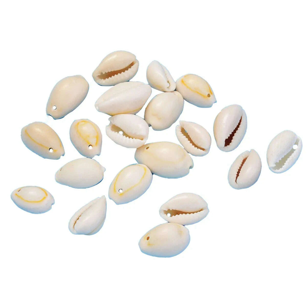 ac-bds-00078_m1_img1_1200x_c1da7597-66ee-4196-9569-e25193f26f6c